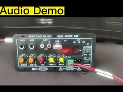 Plaque d'amplificateur D10-II pour haut-parleur 40W de 4 Ohm 110V 220V 12V 24V Subwoofer Module audio