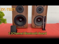 CA-TB21 2.1 Canaux BT Amplificateur de sous-woofer carte audio 2*50W+100W 12-24V AMP