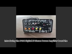 Conseil d'amplificateur de puissance Subwoofer Dual Microphone Conseil audio karaoké D10C Numérique BT Stéréo 24V/220V