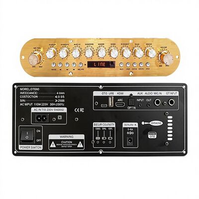 D1600 Portable Speaker Power Amplifier Board Square Dance Outdoor Karaoke Trolley Case for 12V Battery 220VDSP Sound