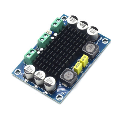 CA-3116D carte d'amplificateur audio mono 100W originale avec puce TPA3116D2 et entrée 12-24V