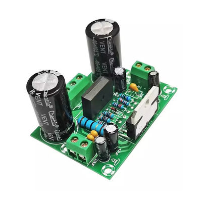 Plaque d'amplificateur mono de 100 W avec double alimentation AC12-32 V pour 2 canaux