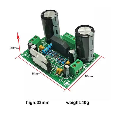 Plaque d'amplificateur mono de 100 W avec double alimentation AC12-32 V pour 2 canaux