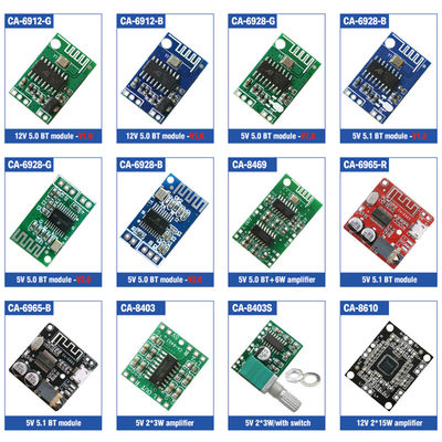 1 canal 12V DC sortie numérique BT module audio enceinte amplificateur