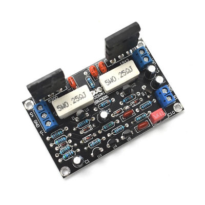 Puissance nominale de sortie de 100 W carte d'amplificateur audio HIFI mono-canal avec double DC 10-45V et faible bruit zéro dérive