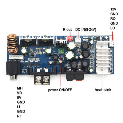 CA-3116AS Professional 2.0 Channel Digital Subwoofer Amplifier Board 2*100W 8-24V Mini TPA3116 pour le son à domicile