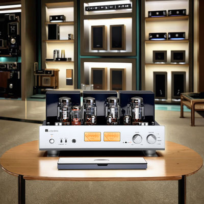 A-Level 25W+25W Amplificateur audio tubulaire HIFI pour la maison Sortie haute puissance Écouteurs intégrés Récepteurs haut-parleurs Amplificateur de classe
